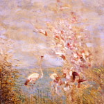 Flamands roses